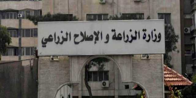 الزراعة: تجريع 1341 رأس ماشية ضمن قافلة بيطرية بجنوب سيناء