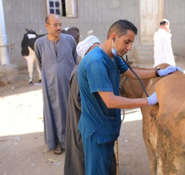 الزراعة تطلق قافلة بيطرية لعلاج مواشي صغار المربين مجانا بكفر الشيخ