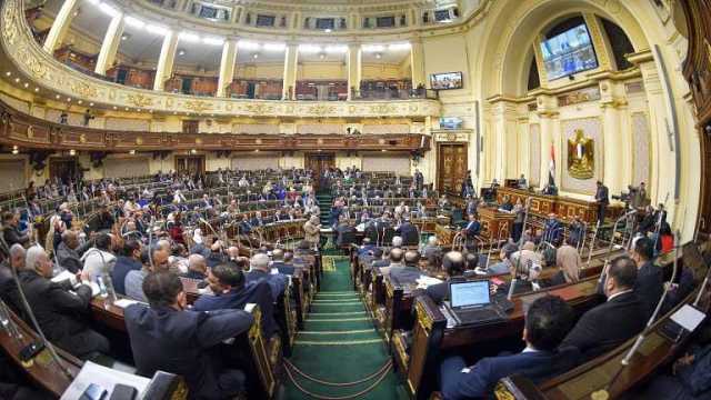 عضو خطة النواب تشيد باتفاقية إزالة الازدواج الضريبي بين مصر وكرواتيا