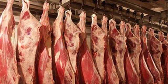 هل ستنخفض أسعار اللحوم بعد عيد الفطر المبارك؟.. شعبة القصابين تُجيب