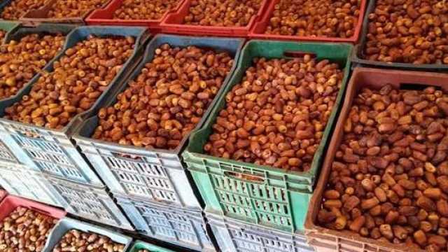 يبدأ بـ 40 جنيهًا.. تعرف على أسعار البلح بمنافذ وزارة الزراعة