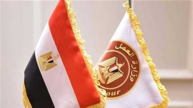 227 ألف جنيه شهريا.. وزارة العمل تكشف تفاصيل فرص عمل بالسعودية