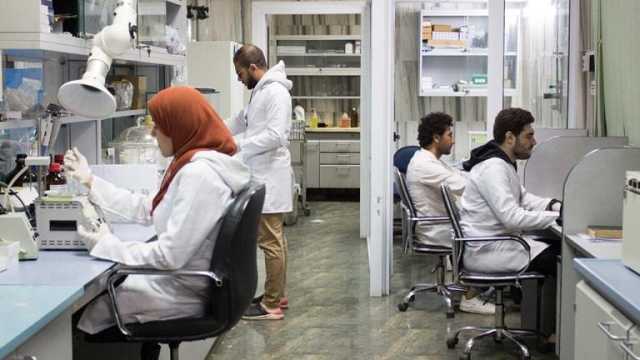 المركزي للمبيدات: استمرار استقبال عينات الصادرات الزراعية خلال إجازة عيد الفطر