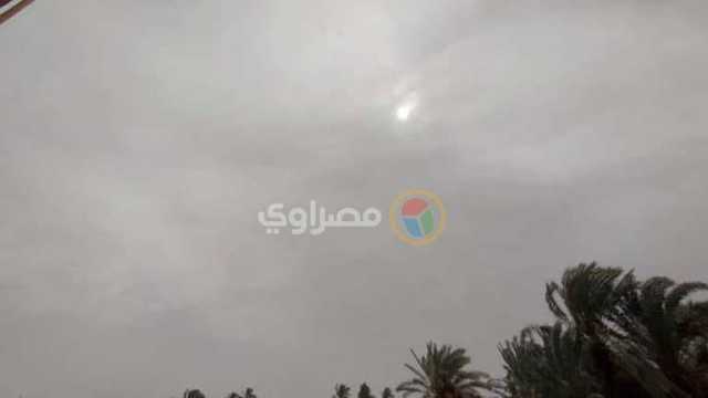 بعد عودة التقلبات الجوية.. الزراعة توجه 8 نصائح مهمة للمزارعين