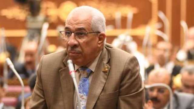 وكيل طاقة الشيوخ: تخفيف أحمال الكهرباء يمثل كابوساً على المواطنين خاصة بالصعيد