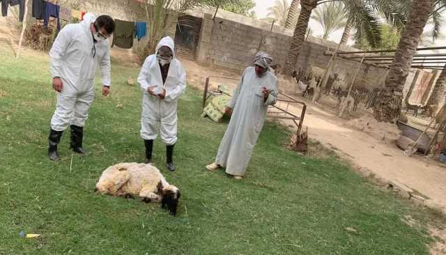 مجلس محافظة صلاح الدين يعلن حالة الطوارئ لمواجهة الحمى النزفية