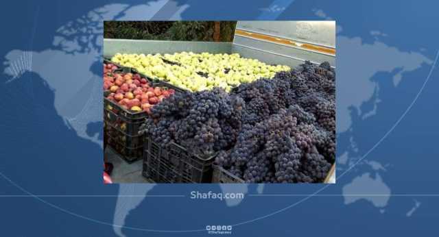 العراق يستورد فواكه وحمضيات بـ45 مليون دولار من لبنان