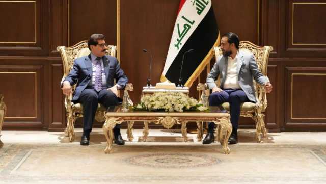 الحلبوسي والديمقراطي الكوردستاني يؤكدان على تشريع قانونيّ النفط والغاز والعفو العام