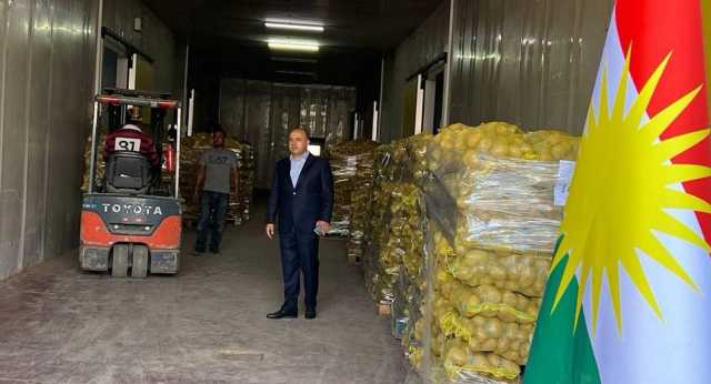 إقليم كوردستان يصدر أول شحنة بطاطا إلى السعودية