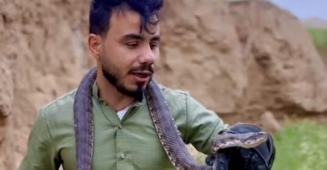 صياد عراقي يوقع بواحدة من أندر الأفاعي وأقواها سماً في صلاح الدين