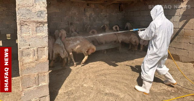 ديالى.. حملة كبرى لملاحقة الحمى النزفية ومكافحة القراد الناقل