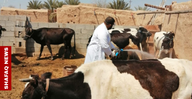 كركوك تستنفر بعد تسجيل حالة وفاة بالحمى النزفية (صور)