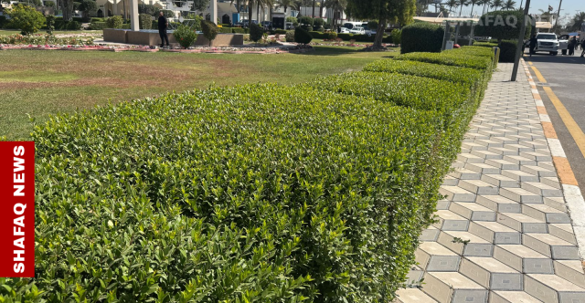 ليل بغداد بلا عطر.. غبار الإسمنت يخطف النبتة المقدسة