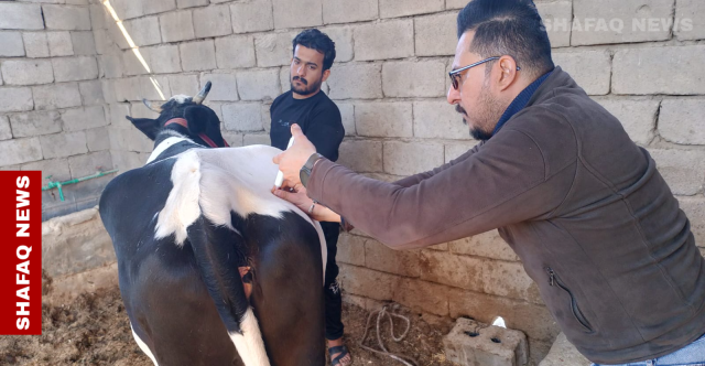 البصرة تسجل أول إصابة بالحمى النزفية