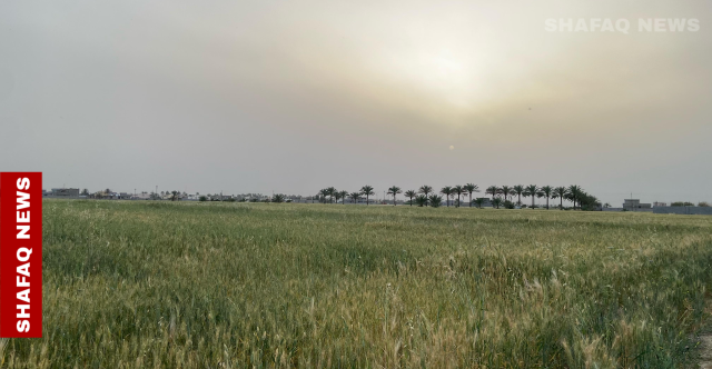 بعد أيام غبارية.. غروب هادئ على ضفاف الفرات في الأنبار (صور)