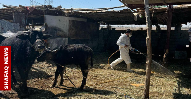 تسجيل إصابة جديدة بالحمى النزفية في الموصل