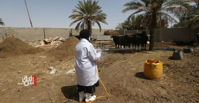 الموصل تسجل ثالث إصابة بالحمى النزفية خلال أسبوع