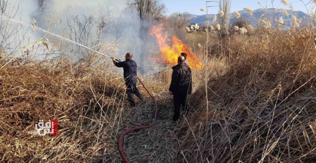ديالى.. حريقان يلتهمان مزارع القمح والقوات الأمنية تحقق بالأمر