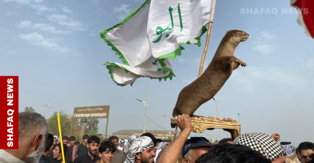 ماكسويل يفرّ من هور الحويزة.. الجفاف يهدد رمز التنوع الأحيائي في الأهوار العراقية