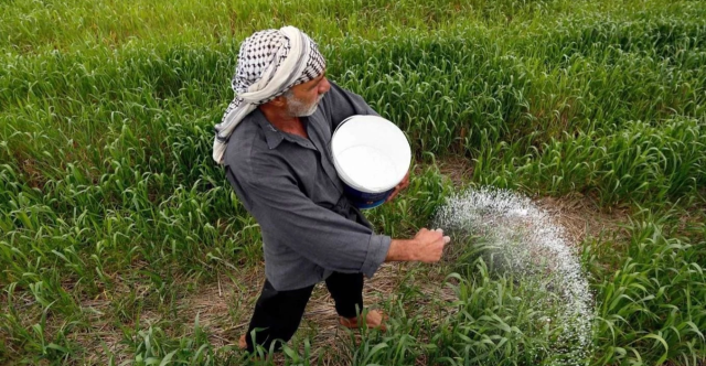بسبب أزمة المياه .. النجف تحظر زراعة الشلب وتتوعد بعقوبات رادعة بحق المخالفين