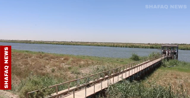 حمراء وسامة.. الطحالب تفاقم التلوث شمال البصرة وتسبب جدلا رسميا