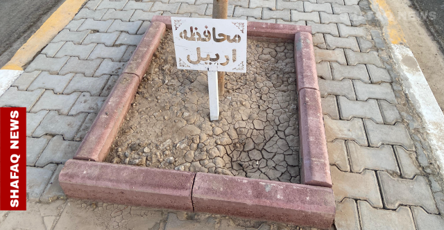 شارع جسور الأجيال في الرمادي.. أشجار تحمل أسماء العراق وتثمر تعايشاً (صور)