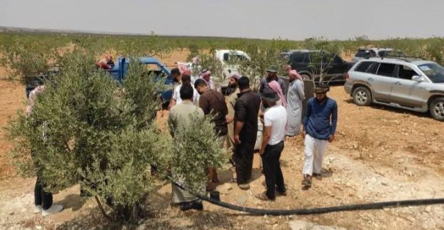 سوريا.. العثور على مقبرة جماعية في بلدة علوية من مخلفات نظام الأسد