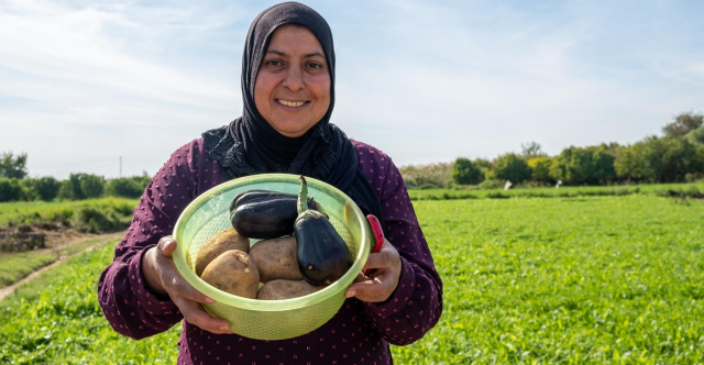 رغم شح المياه.. العراق يحقق الاكتفاء الذاتي في 6 محاصيل ويصدر الفائض