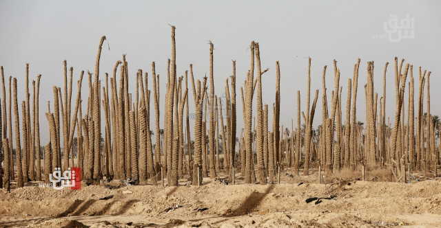 مستشار السوداني يقرع ناقوس الخطر بشأن العجز المائي والتصحر في العراق