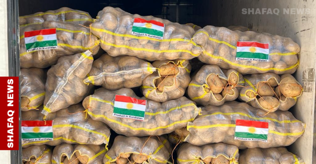 دهوك تحظر استيراد البطاطا لحماية المنتج المحلي