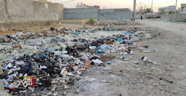 الذباب يغزو البصرة والروائح تحاصر البيوت: النفايات خطر يداهم الاهالي