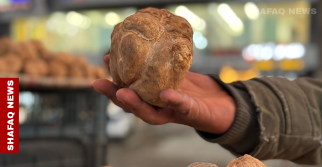 بنت البرق في بغداد بـ50 ألف دينار (صور)