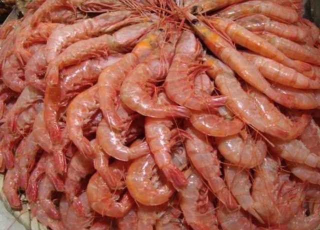 الجمبرى يبدأ من 370.. سعر السمك اليوم الأربعاء 26 يوليو 2023 بسوق العبور