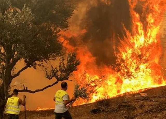 رئيس البرلمان العربي يعزي الجزائر في ضحايا حرائق الغابات