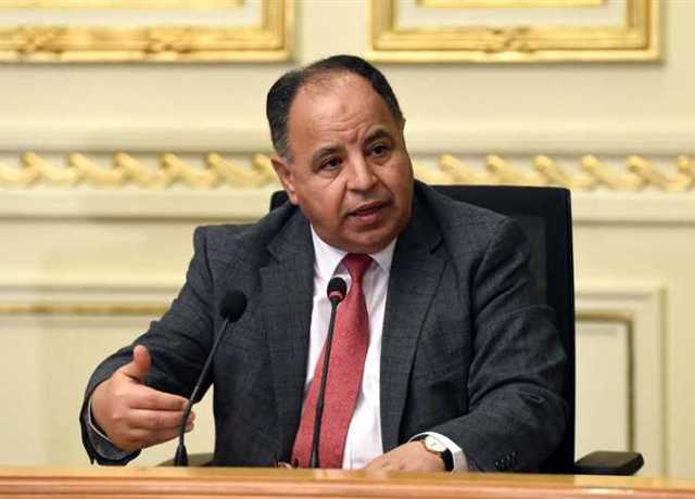 وزير المالية: تيسير إجراءات «الربط الإلكتروني» بين الضرائب والجمارك