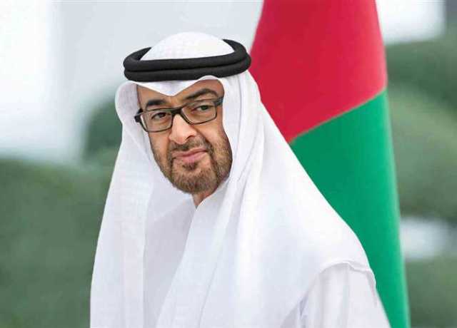 رئيس الإمارات: بحثت مع أردوغان تعزيز العلاقات الثنائية