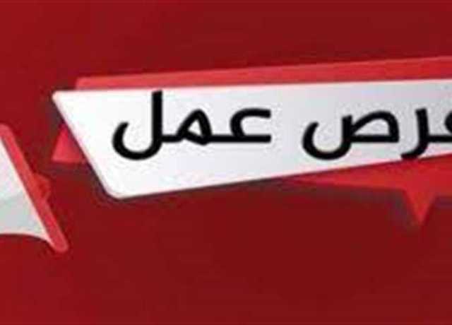 لحملة المؤهلات المتوسطة.. القوى العاملة توفر وظائف خالية بـ3250 جنيه بالمحافظات