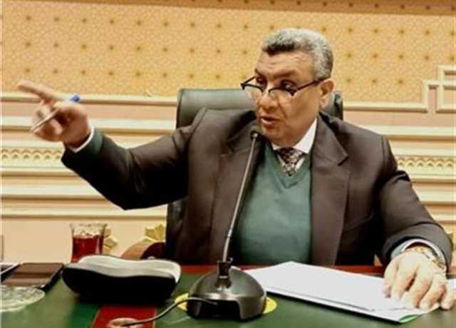 برلماني: تطبيق قانون إلغاء الإعفاءات الضريبية على الشركات الحكومية خلال أسابيع
