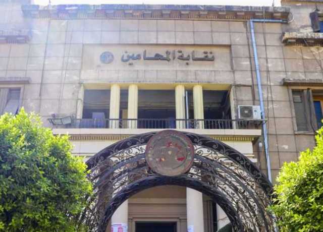 «المحامين»: 20 أغسطس انطلاق دورات «أكاديمية ناصر» للمحامين وأسرهم بالنادي النهري