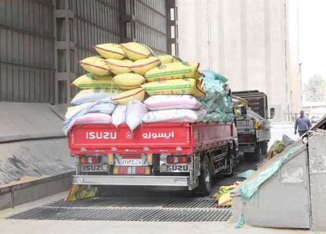 المواقع التخزينية بمراكز ومدن الشرقية تستقبل 533.9 طن من محصول القمح
