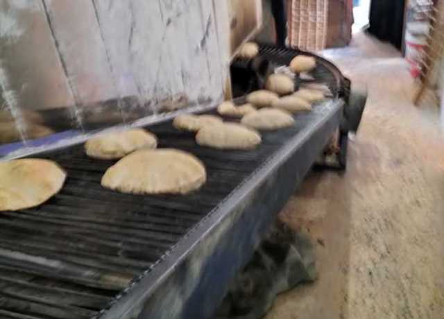 تحرير 20 محضرًا تموينيًا خلال حملات تفتيشية بالغردقة