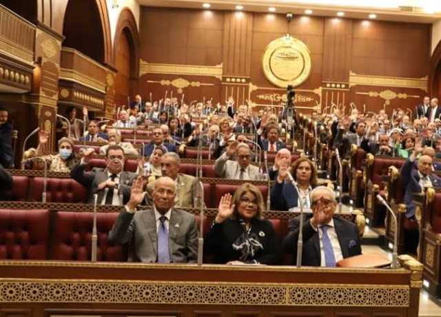 عضو بمجلس الشيوخ: الدين العام للدولة «مش عيب» (فيديو)