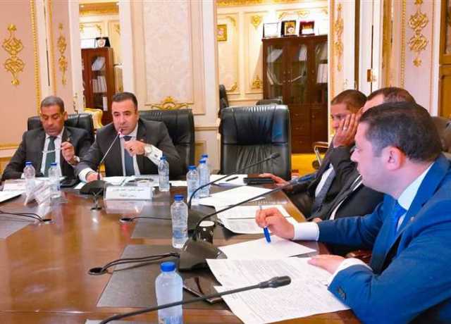 «اتصالات النواب»: «المصرية للاتصالات» حققت خطط منظومة التحول الرقمي بنجاح