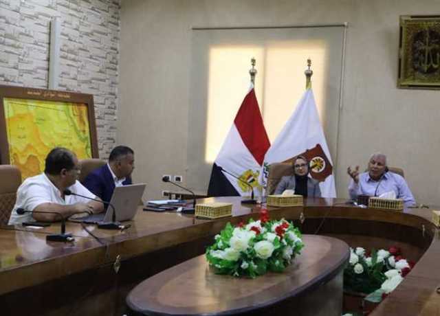 محافظ الوادي الجديد: تمويل ٦٠ مشروع بتكلفة ٧.٦ مليون جنيه خلال يونيو الماضي