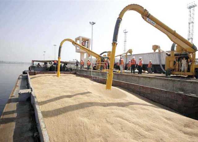 التنمية المحلية تتابع جهود المحافظات في توريد القمح والإزالات
