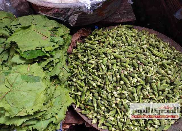 البامية بـ25 جنيه.. جدول أسعار الخضروات والفاكهة اليوم الأربعاء 26 يوليو 2023 في سوق العبور
