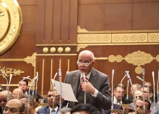 نائب:الرئيس قدم رؤية شاملة لحل الصراعات الدولية وتنمية أفريقيا بالقمة «الروسية الإفريقية»