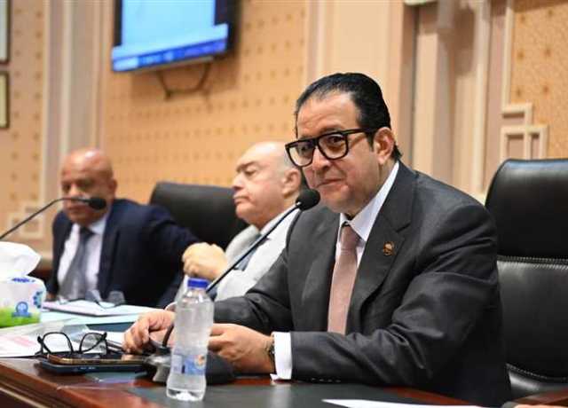 رئيس «نقل النواب»: لقاء السيسي وبوتين تأكيد على دعم التعاون الثلاثي بين البلدين والقارة الإفريقية