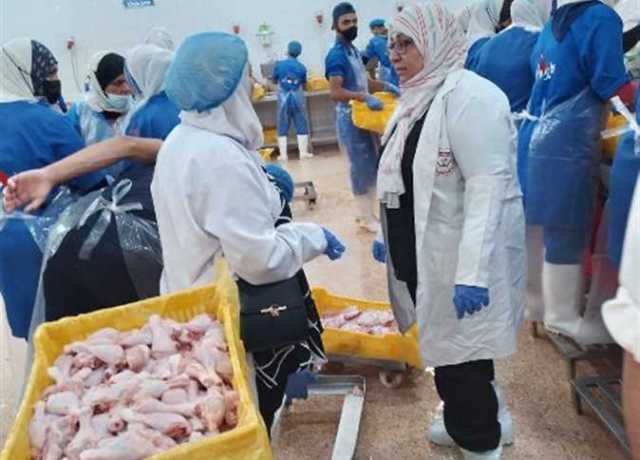 تحرير 3060 محضرًا تموينيًا في حملات تفتيشية ورقابية على الأسواق بالشرقية