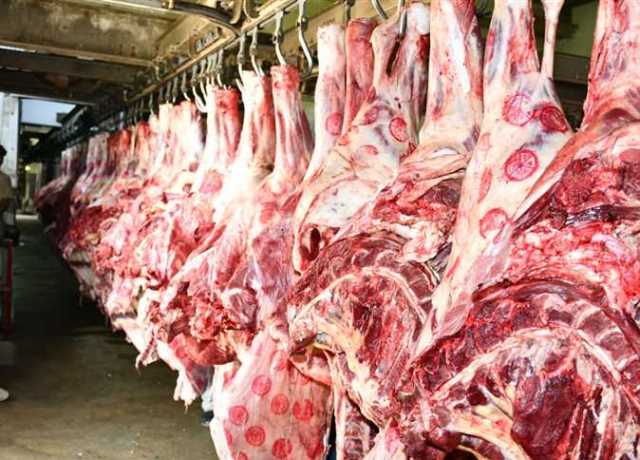 التموين: عدد المفتشين لا يكفي للرقابة على جميع المحلات في مصر (فيديو)